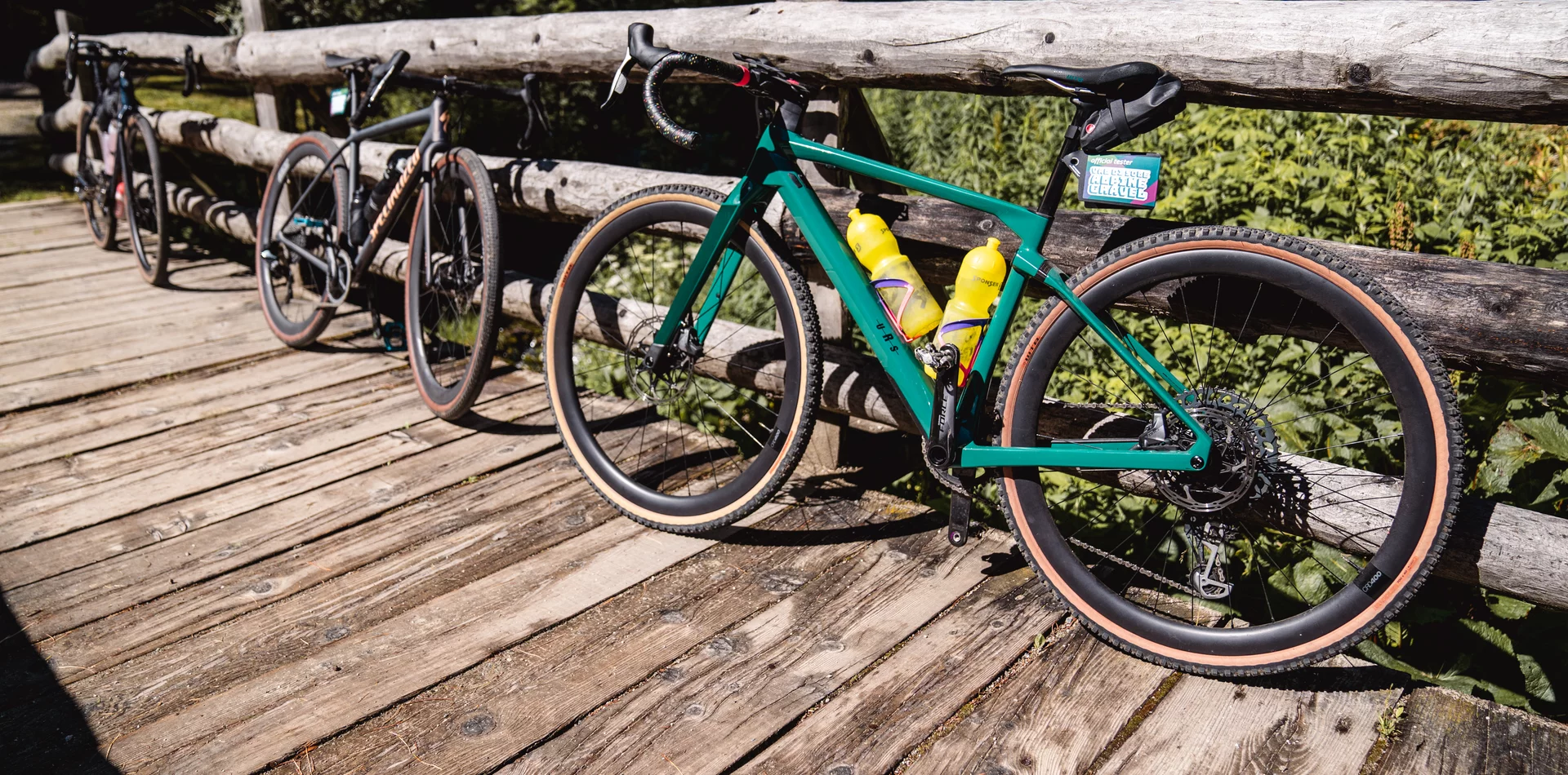 Alpine Gravel Val di Sole BikeLand